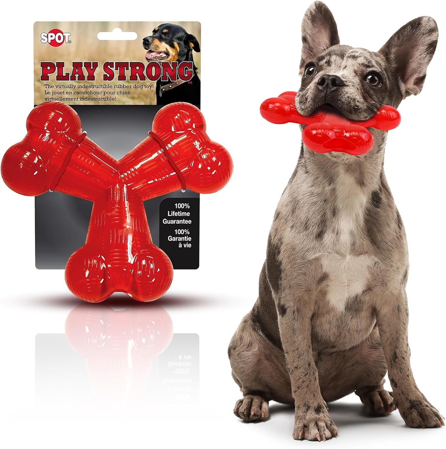 SPOT Play Strong Trident Bone - Durable Dog Toy for Aggressive Chewers, Interactive Chew Toy for Puppies and Adult Dogs, Red 6-Inch - Training and Enr