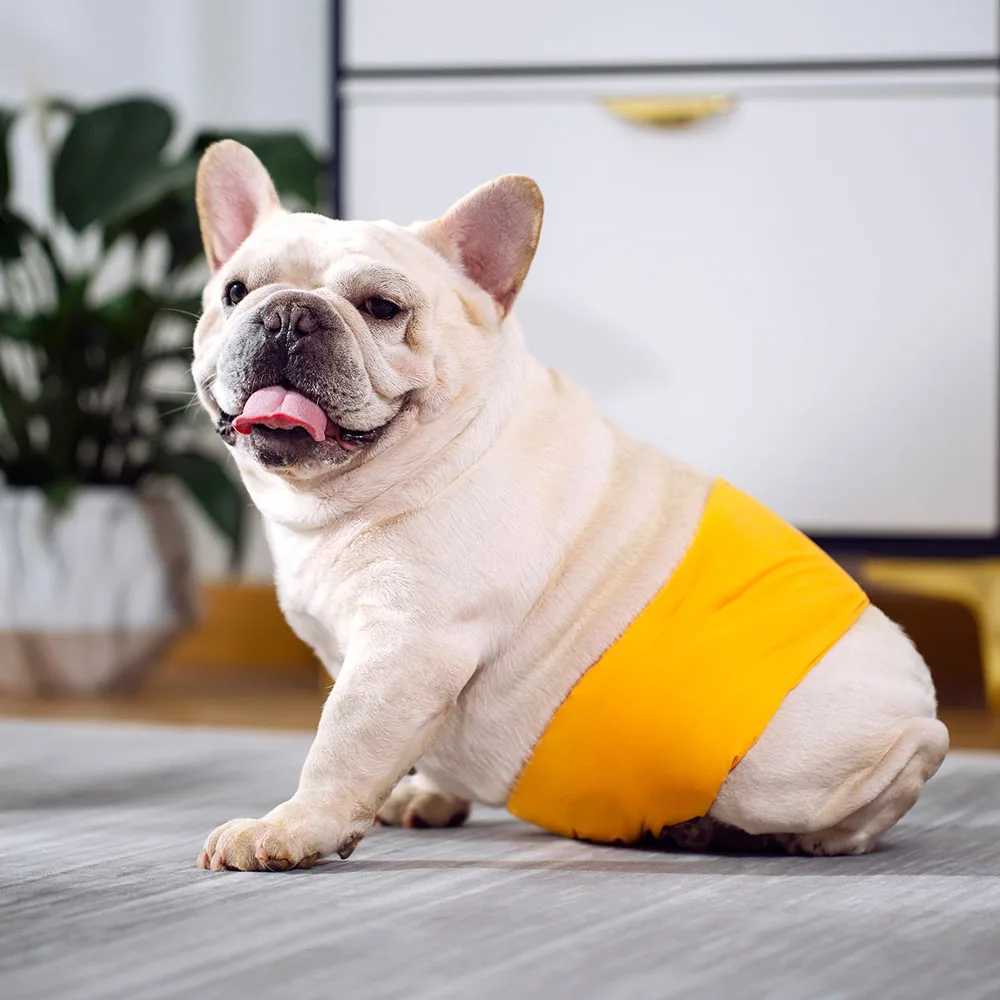 Male dog belly strap reusable boy dog diaper washable suitable for small medium large dogs soft adjustable pet dogs and physiological pants Y250320