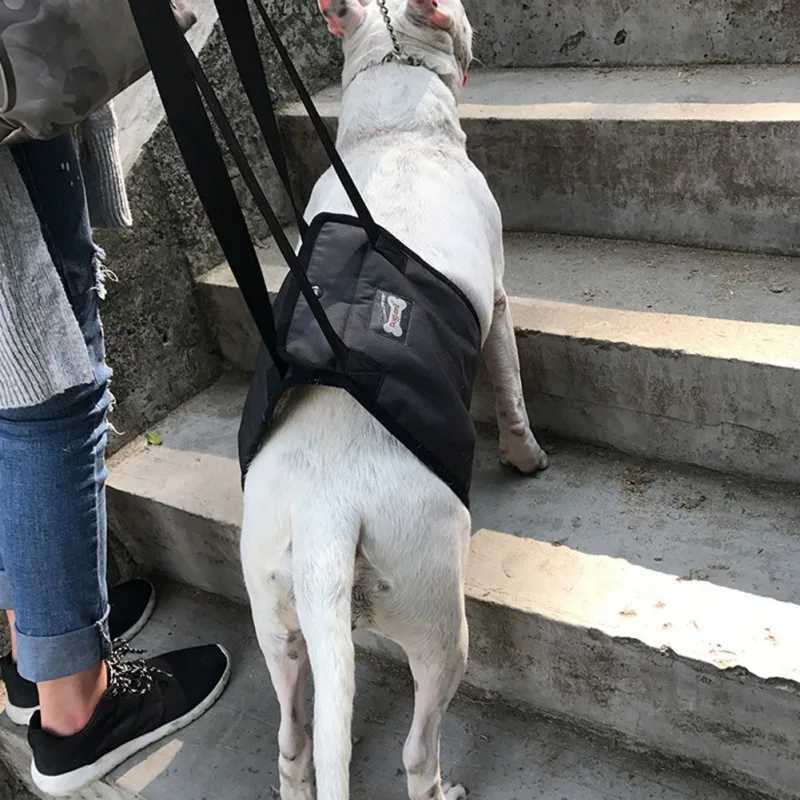 Dog lifting strap for dog assistance and old dogs adjustable dog hind leg sling for old disabled joint injuries pet hind leg support Y250320