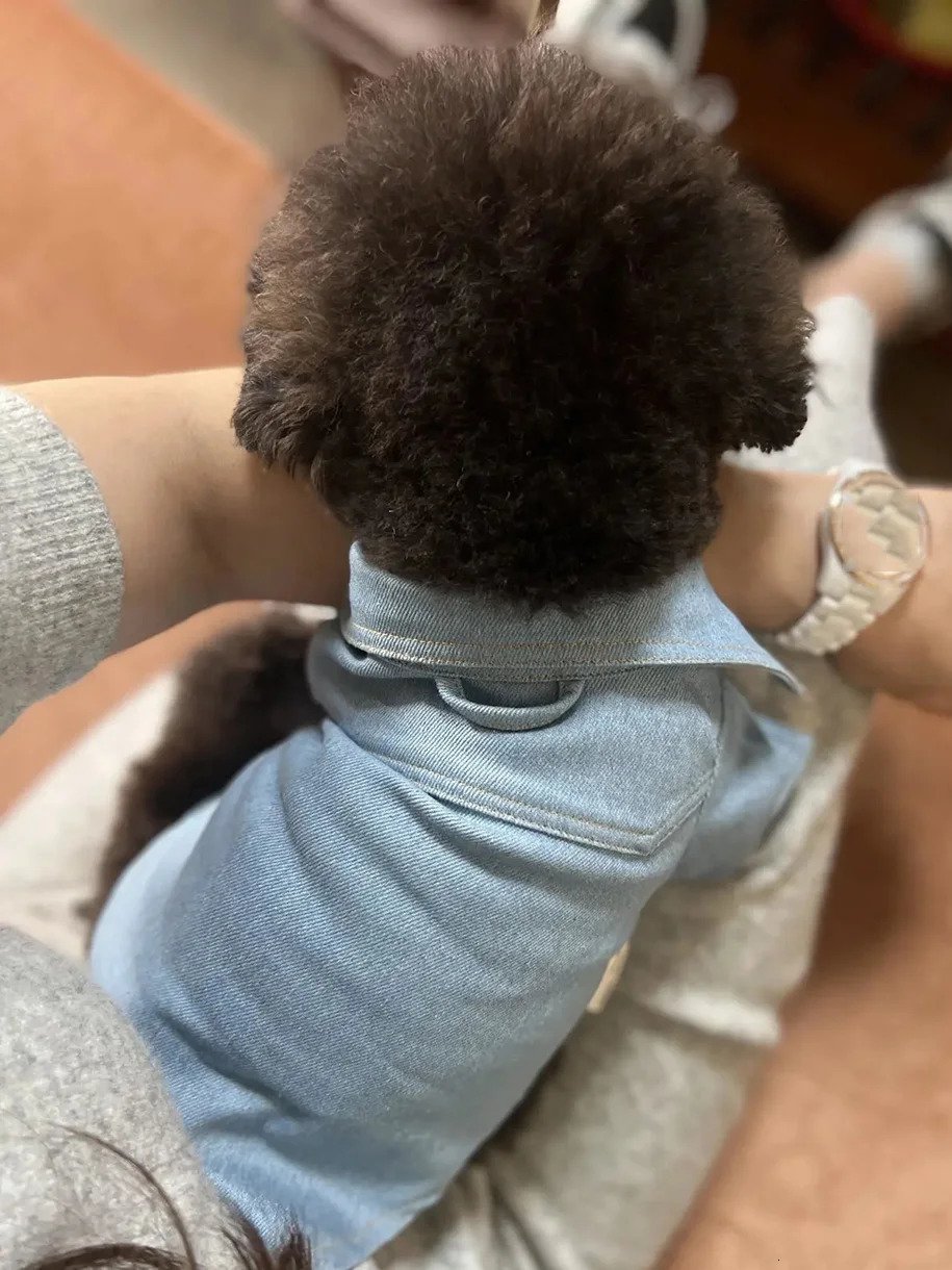 Cowboy Dog Shirt Spring/Autumn Handsome Pet Shirt Small Teddy Bear Shirena Fashion Dog Coat Dog Spring Clothing Pet Set 250318