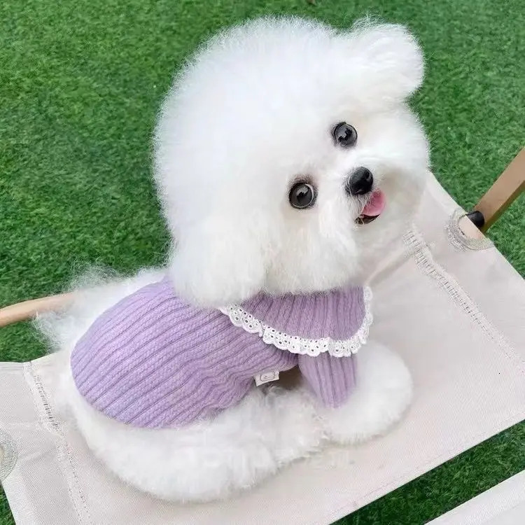 Doll Collar cardigan wool sweater dog clothing lace puppy clothing cat spring autumn set girl Korean fashion cute pet products 250318