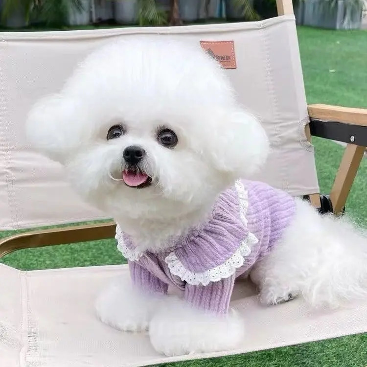 Doll Collar cardigan wool sweater dog clothing lace puppy clothing cat spring autumn set girl Korean fashion cute pet products 250318