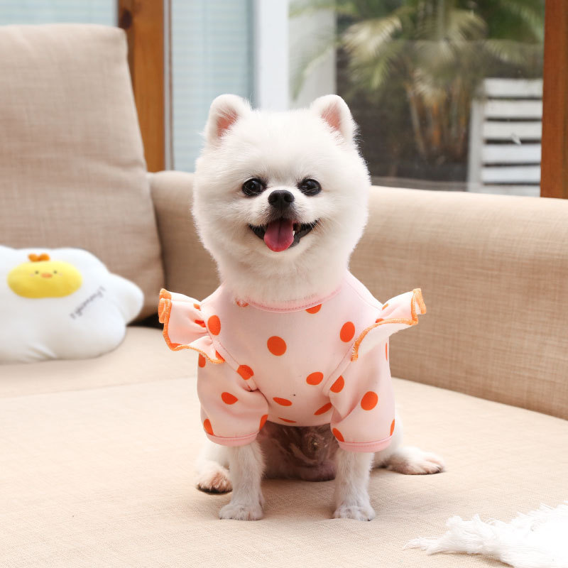 Fall - Winter Pet Clothes for Dogs and Cats: Adorable Pocket - designed Bear - print and Polka - dot Outfits, Ideal for Teddy, Bichon Frise