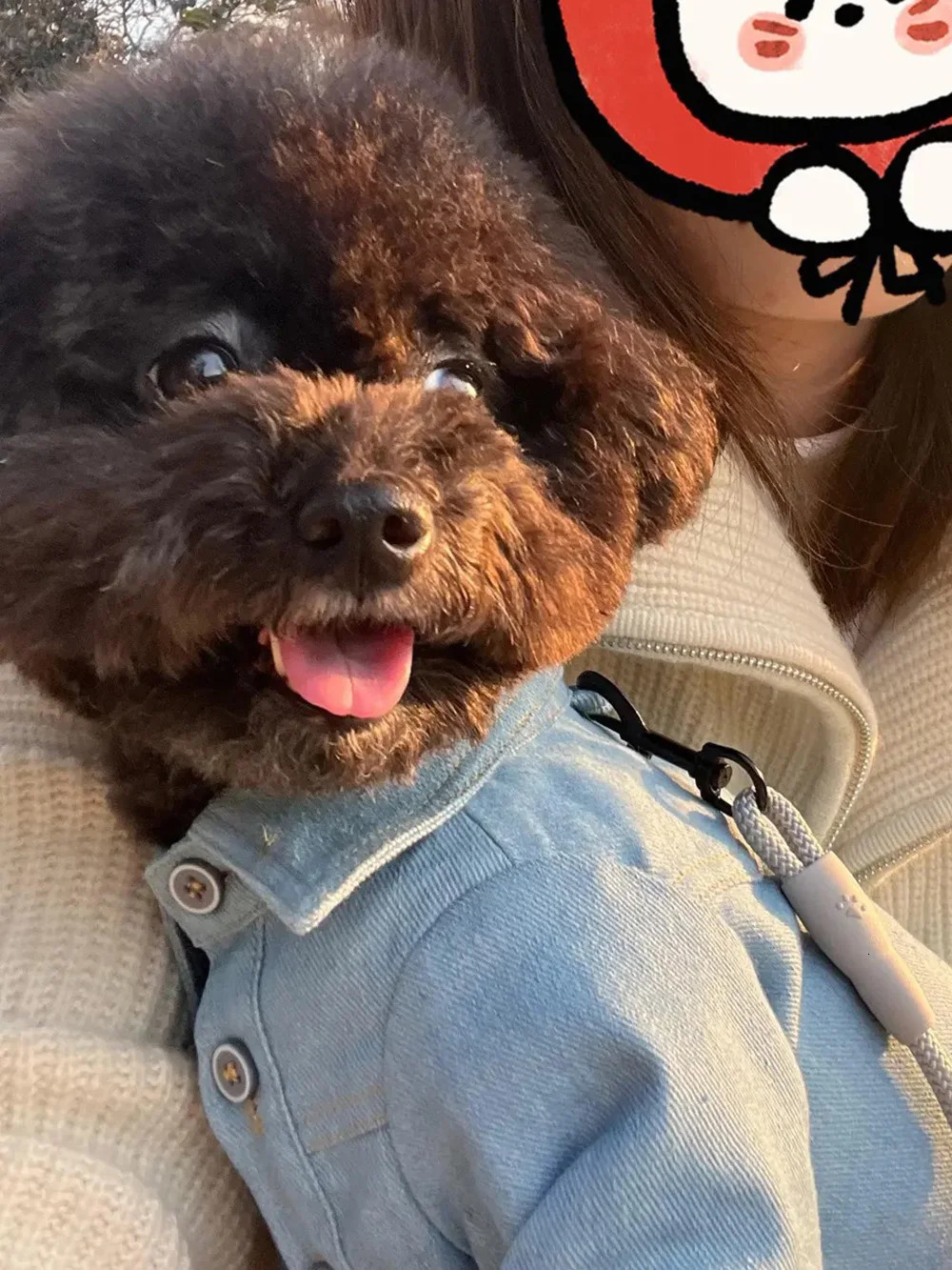 Cowboy Dog Shirt Spring/Autumn Handsome Pet Shirt Small Teddy Bear Shirena Fashion Dog Coat Dog Spring Clothing Pet Set 250318