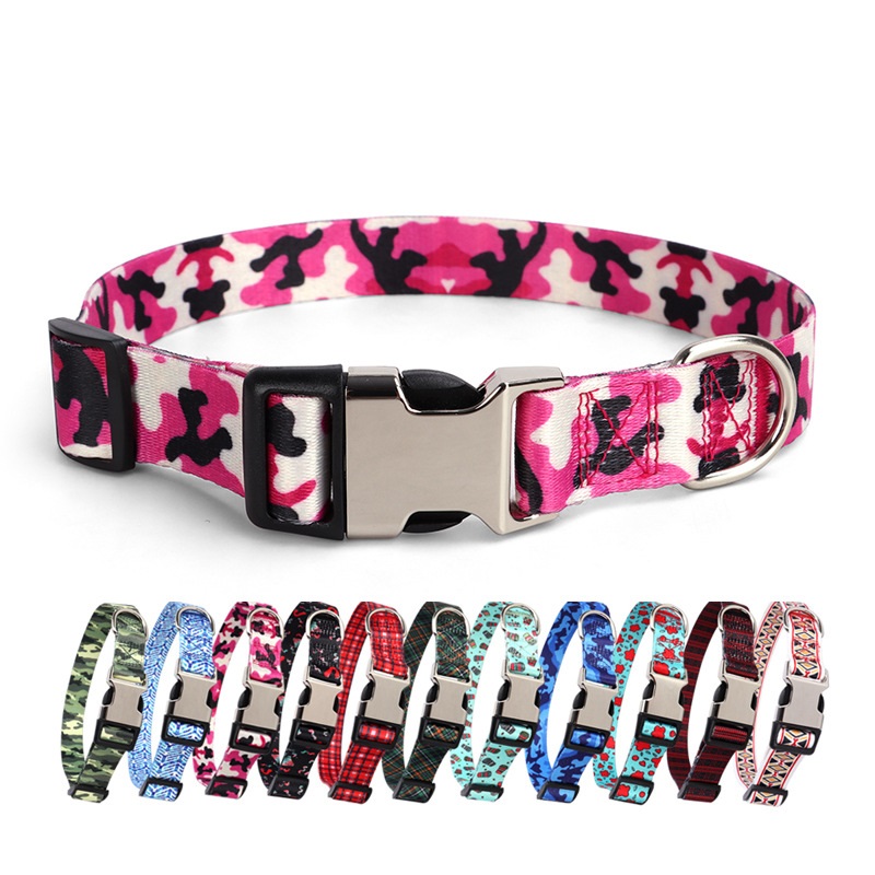 Dog Collar Small Medium Large Dogs Special Design
