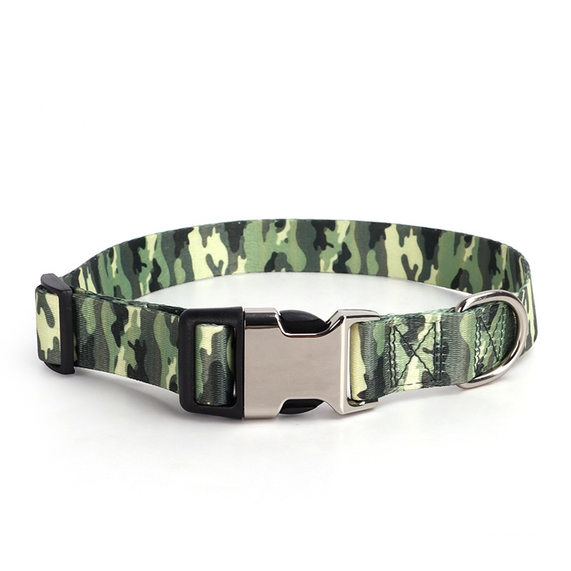 Dog Collar Small Medium Large Dogs Special Design