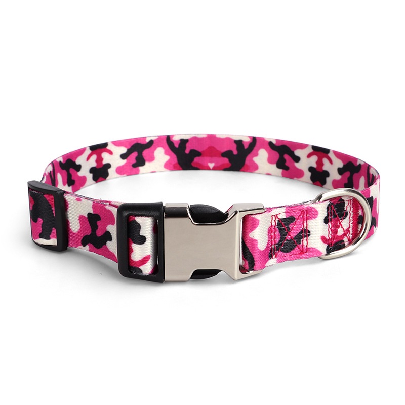 Dog Collar Small Medium Large Dogs Special Design