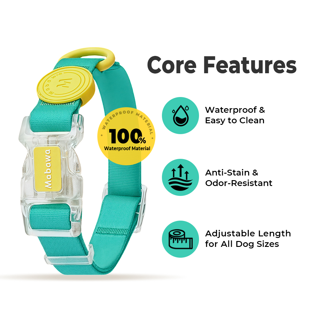 DHpet Dog Collar Waterproof PVC Rubber Small Dog Collar Adjustable Durable Anti-odor Pet Collar Leash Set Multi-colors Soft Basic Collar