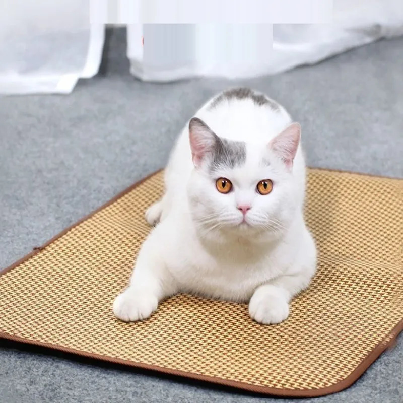 Dog cooler pad summer pet bed super large and small 250312