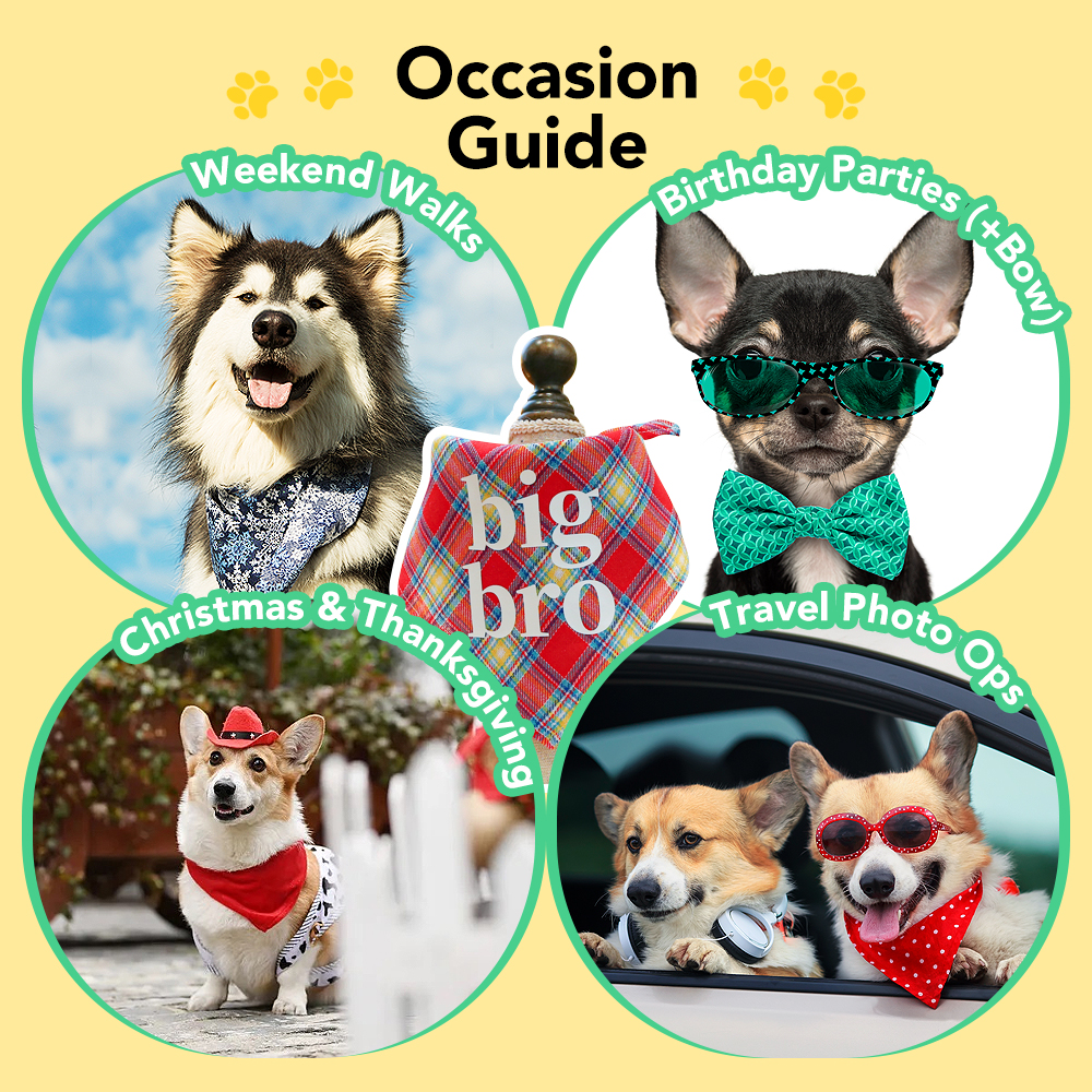 Dhpet Large And Small Dog And Cat Bibs Triangle Scarf --3pcs/set