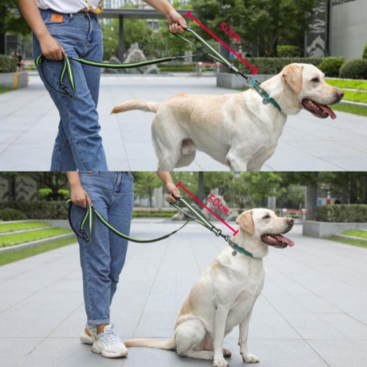Hand Free Dog Leash for Pet Walking Running Jogging Adjustable Dog leash Waist Belt Chest Strap Traction Rope Dog Accessories