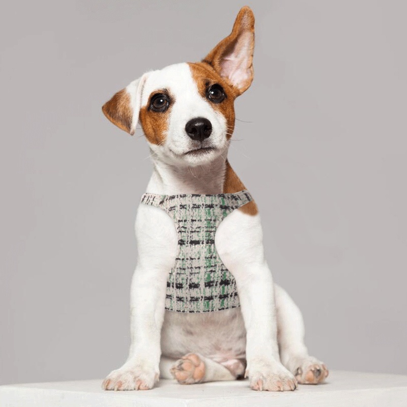 2025 new Suede Material No Pull Dog Leash Set- Soft Lightweight Fresh Style Pattern Puppy Harness, Adjustable Step-in Pet Harness for Small