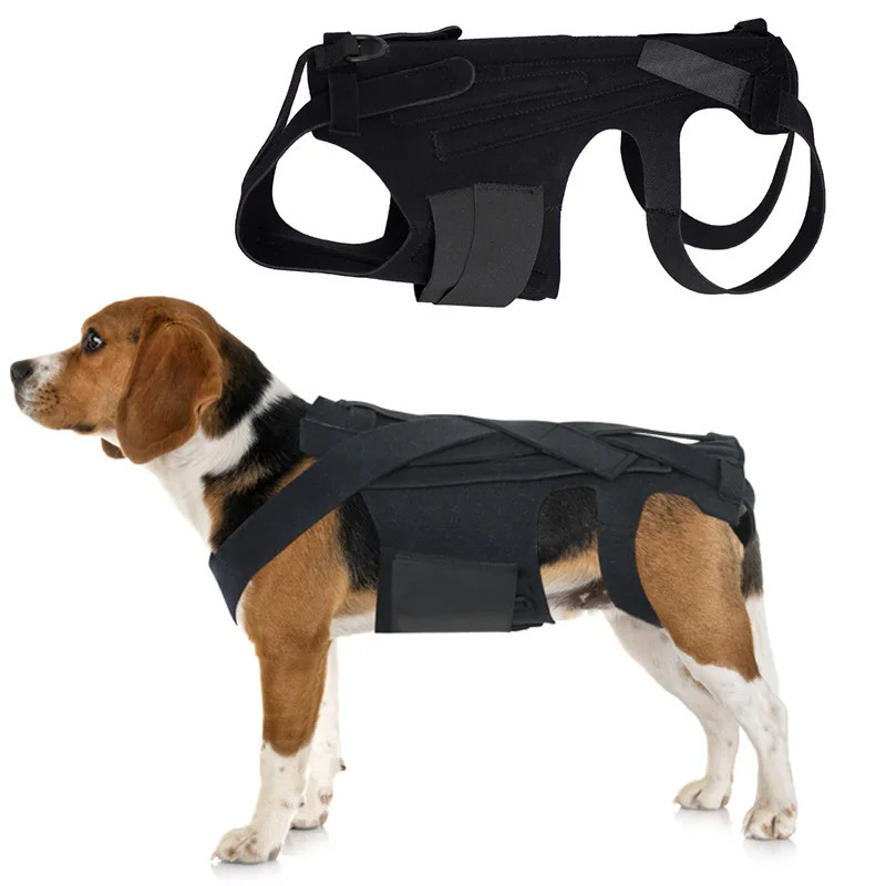 Dog Back Brace Breathable And Comfortable Adjustable Vest Helps Pet for IVDDBack PainPost Recovery and Rehabilitation a250321