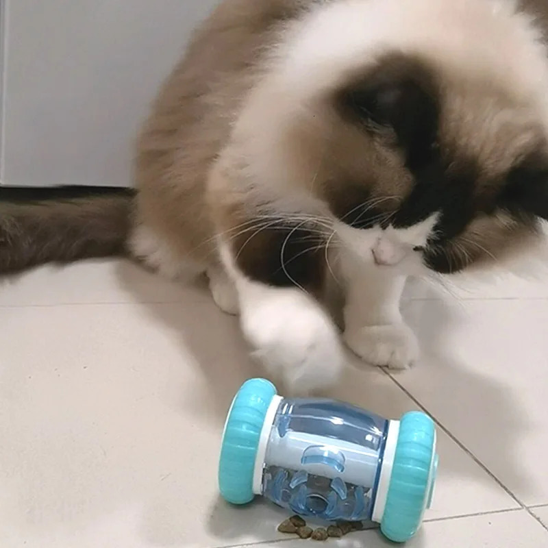 CAITEC cat toys foraging toy snacks wheelie for or kittens 250320