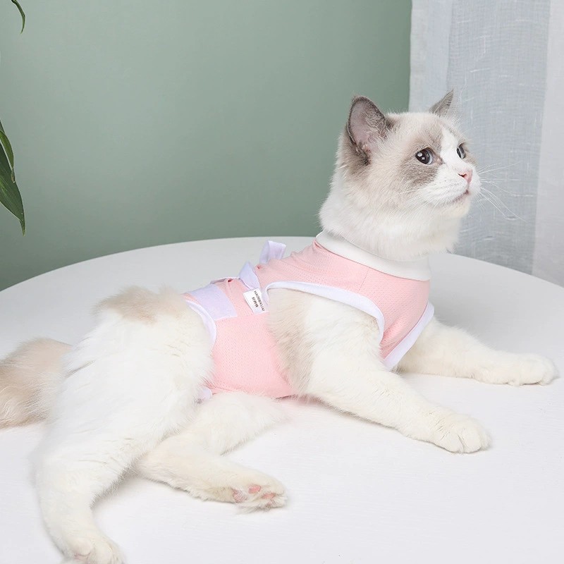 Blue Sterilization Surgical Clothes, Mother Cat Weaning, Licking and Anti Hair Loss Pet Supplies