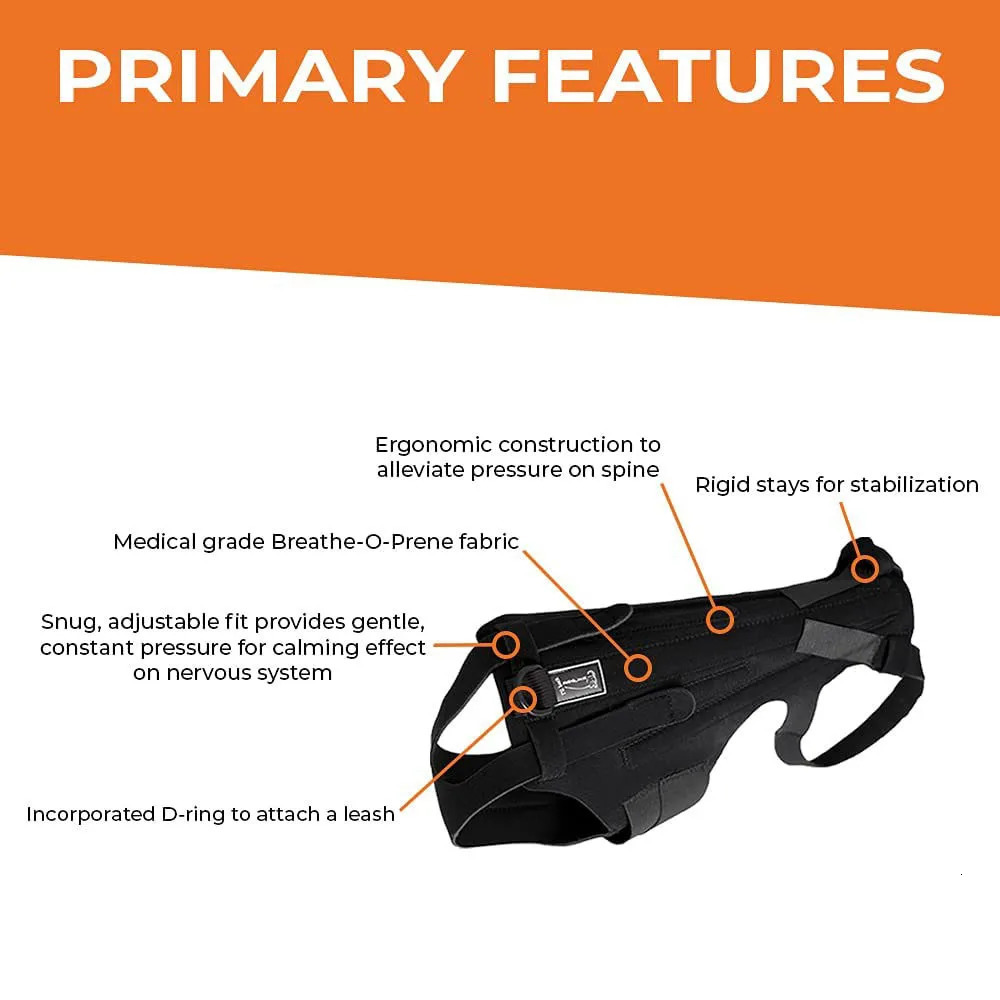 Dog Back Brace Breathable And Comfortable Adjustable Vest Helps Pet for IVDDBack PainPost Recovery and Rehabilitation a250321