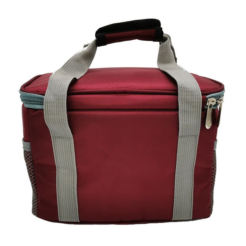 2025S Fashion Designer D Oxford Cloth Delivery Large Capacity Ice Pack Car Insulation Outdoor Picnic Bag