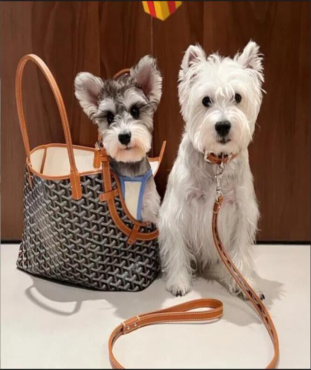 10A Luxury Designer Tote Bag for Cats & Dogs - High-Quality Breathable Brown Leather Pet Carrier 33.5*15*27cm