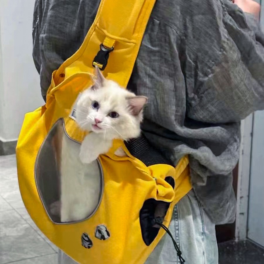 XSmall Pet Cotton Padded Dog Travel Bag: Comfortable Doggie Backpack for Small Dogs, Lightweight Cat Carrier with Multiple Pockets Free shipping
