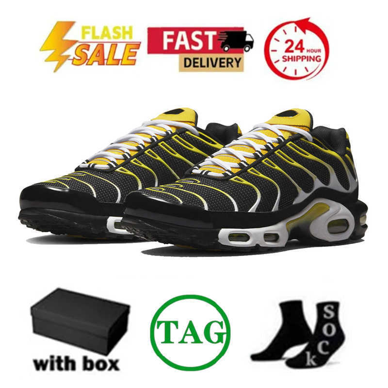 Hiking Footwear Tn Plus Running Shoes Toggle Utility 25th Anniversary Triple White Black Grey REFLECTIVE Fire Ice Stone Onyx Men Women Trainers Sports