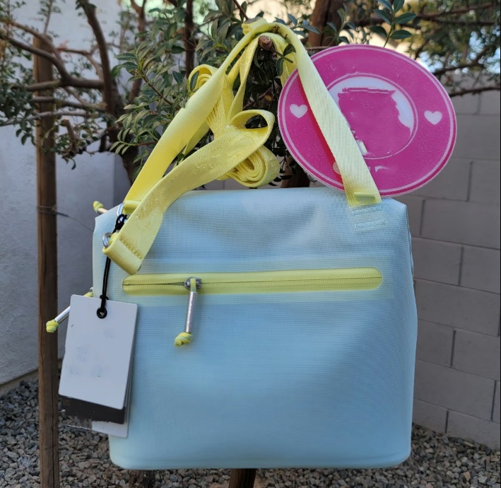 US Stock Lunch Bags All Day Julienne Mini Soft Cooler Box 10 Can Carry-All for 40oz Cup With Match Tumblers Crossbody Bag with Phone Pocket Accessorie