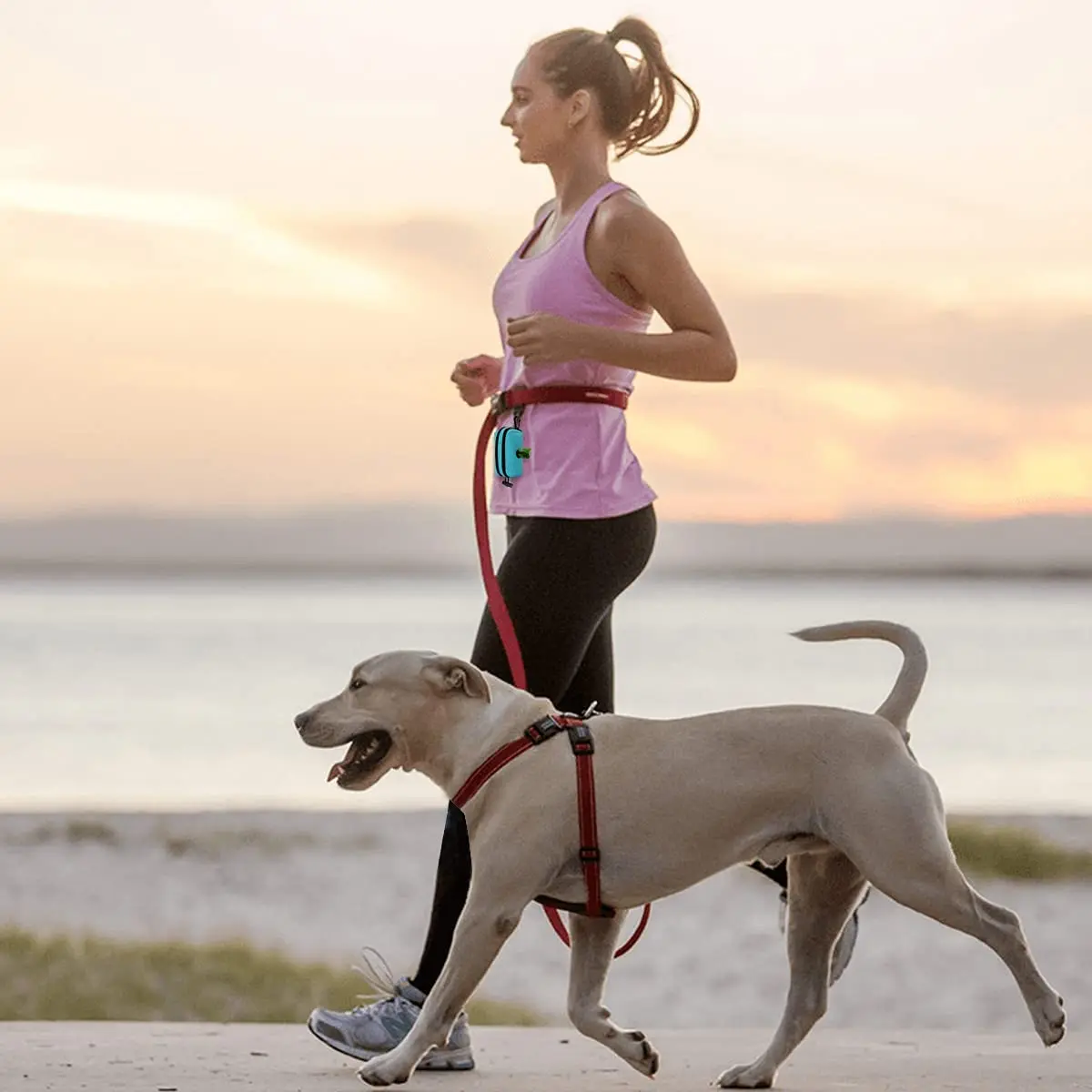 Pet Dog Poop Bag Dispenser Storage Bag Products Pet Waste Bags Carrier Dog Walking Accessories Cleaning Supplies