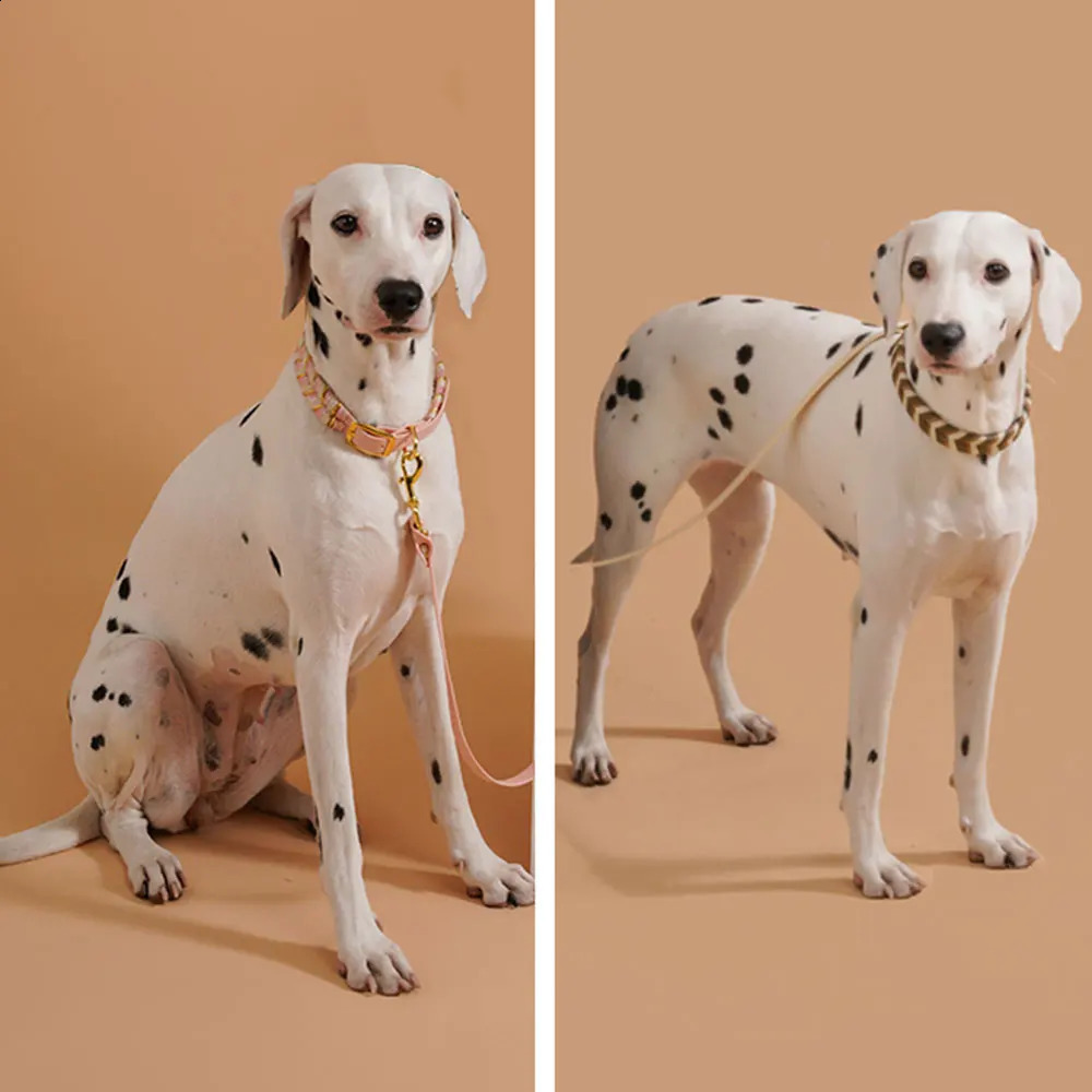 Dog Fashion Collar For Ladies Handmade n Pet Colorful Neck Ring Small Medium and Large Dogs Lead-collar Wear Supplies 250320