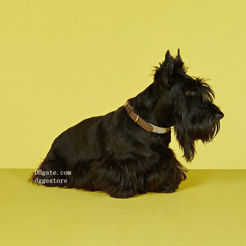 Fashionable Pink Pet Accessory: Strong Dog Collar Featuring Elegant Patterns Perfectly Sized for Your Companion