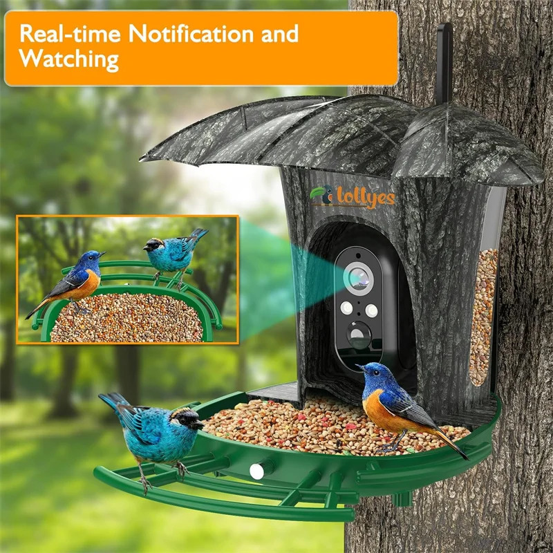 Smart bird feed camera with 64G card 1080P highdefinition AI recognition of species hummingbird house 7W solar panel 250320