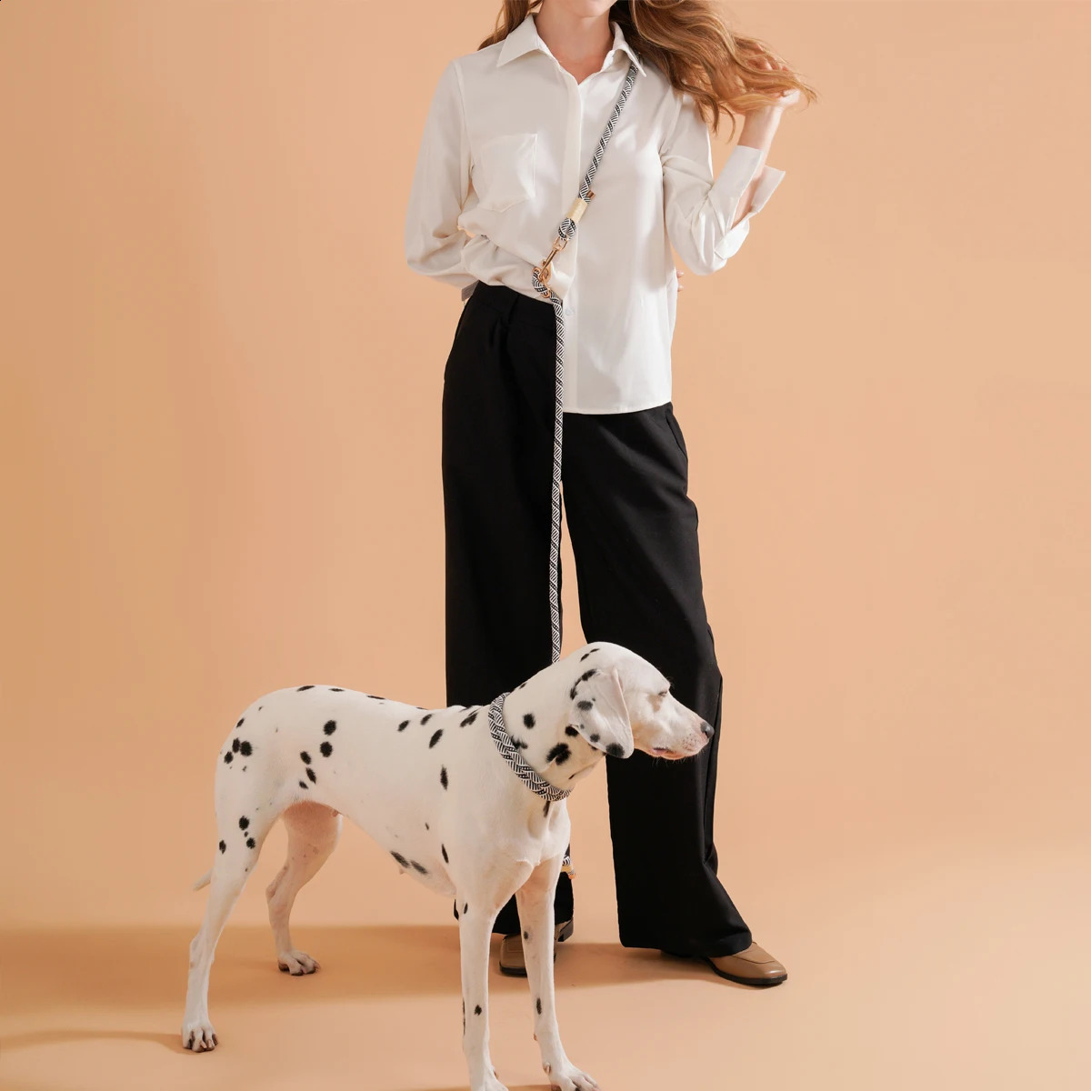 Pet Dog Lead Rope Simple Trendy Style Collar P Leashes For Small Medium and Large dogs Bulldog Alaskan Malamute Corgi Teddy Dog 250320