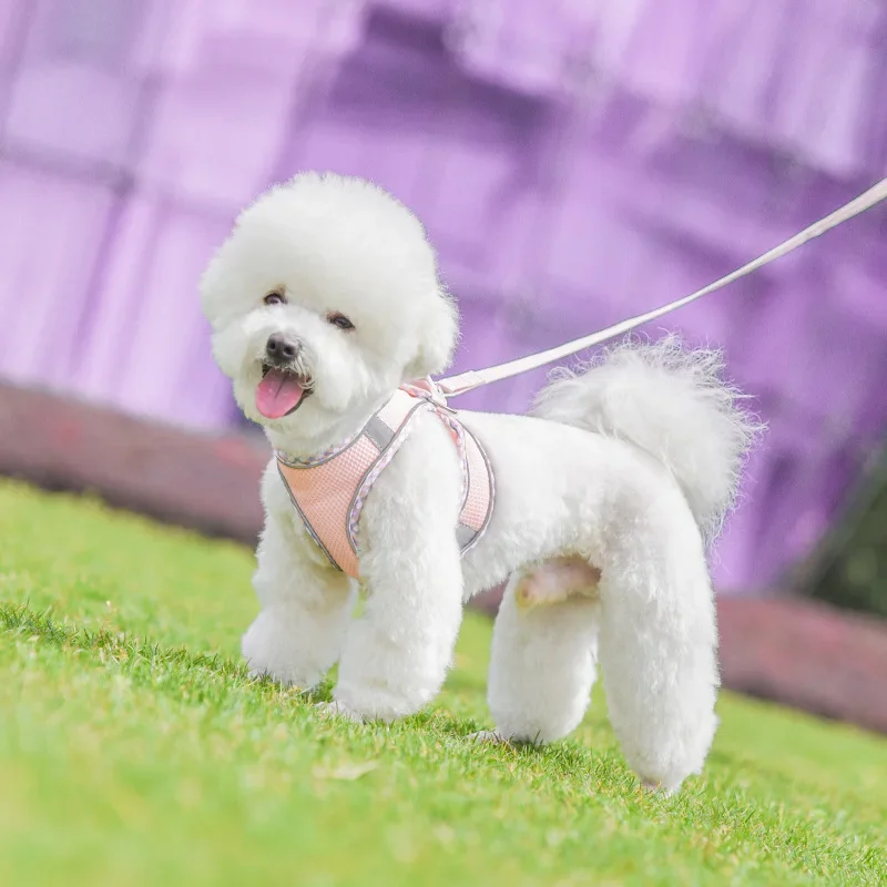 Dog Harness Leash Set Adjustable Pet Harness Vest For Puppy Cat Reflective Mesh Puppy Cat Chest Strap Dog Accessories