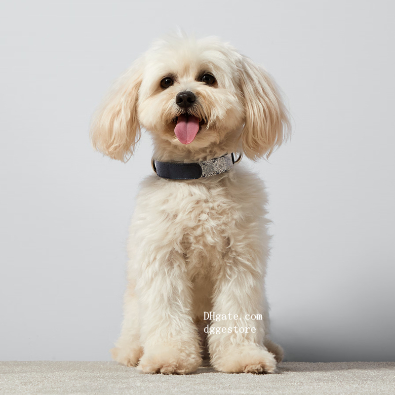 Fashionable Pink Pet Accessory: Strong Dog Collar Featuring Elegant Patterns Perfectly Sized for Your Companion