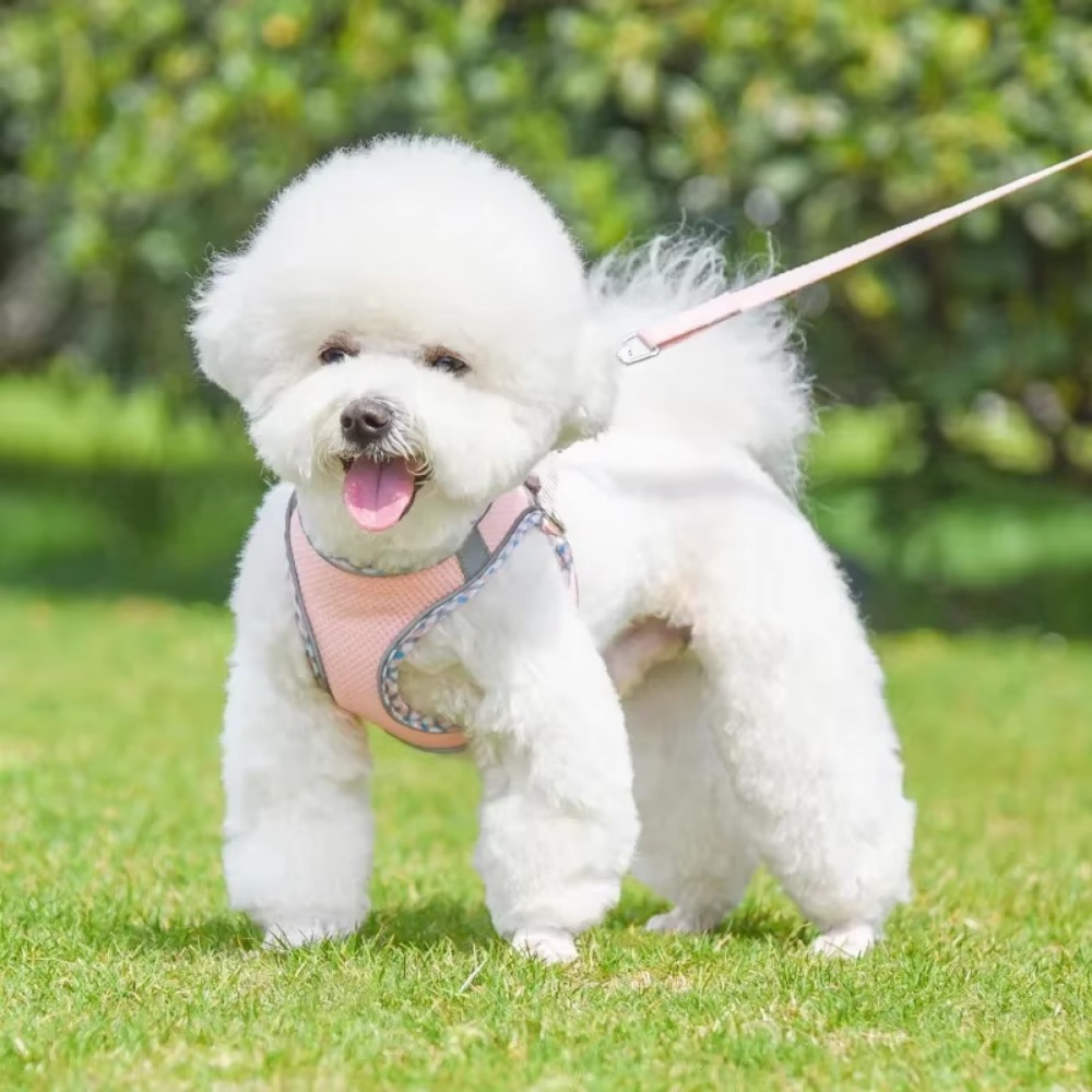 Dog Harness Leash Set Adjustable Pet Harness Vest For Puppy Cat Reflective Mesh Puppy Cat Chest Strap Dog Accessories