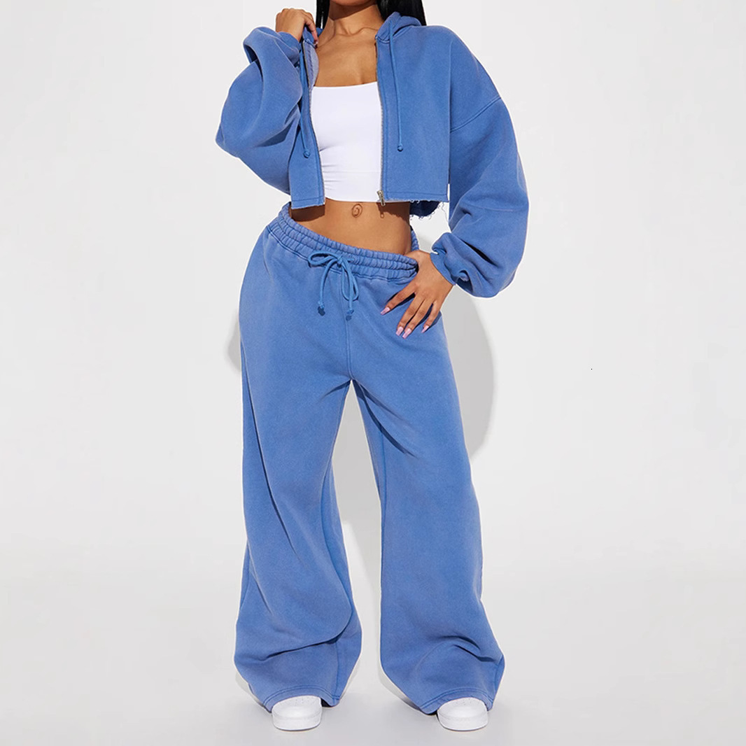 2024 autumn women's casual hooded front zipper sweatshirt wide leg loose pants set