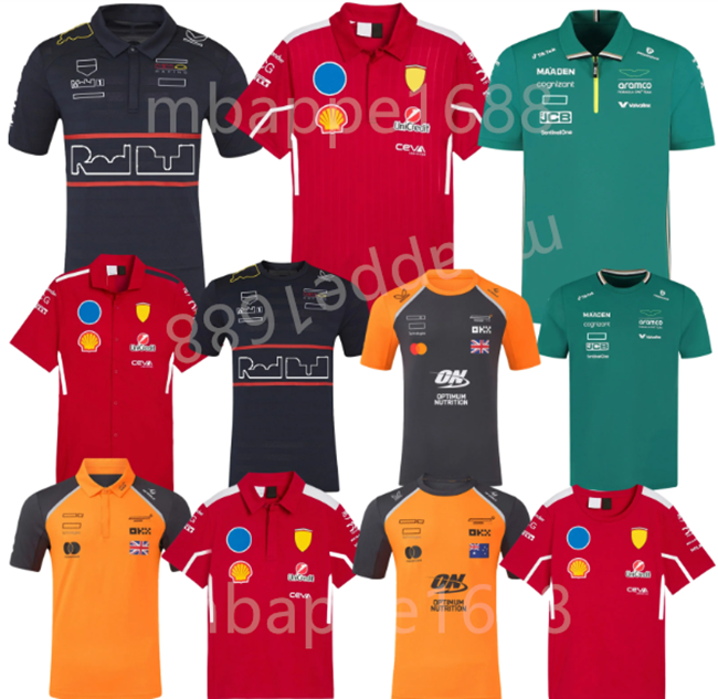 2025 Formula 1 F1 Driver Racing Sets 24 25 Max Verstappen Set Up t-shirt Casual Stroll POLO Car Motorsport Fernando Alonso Team Jersey Shirts