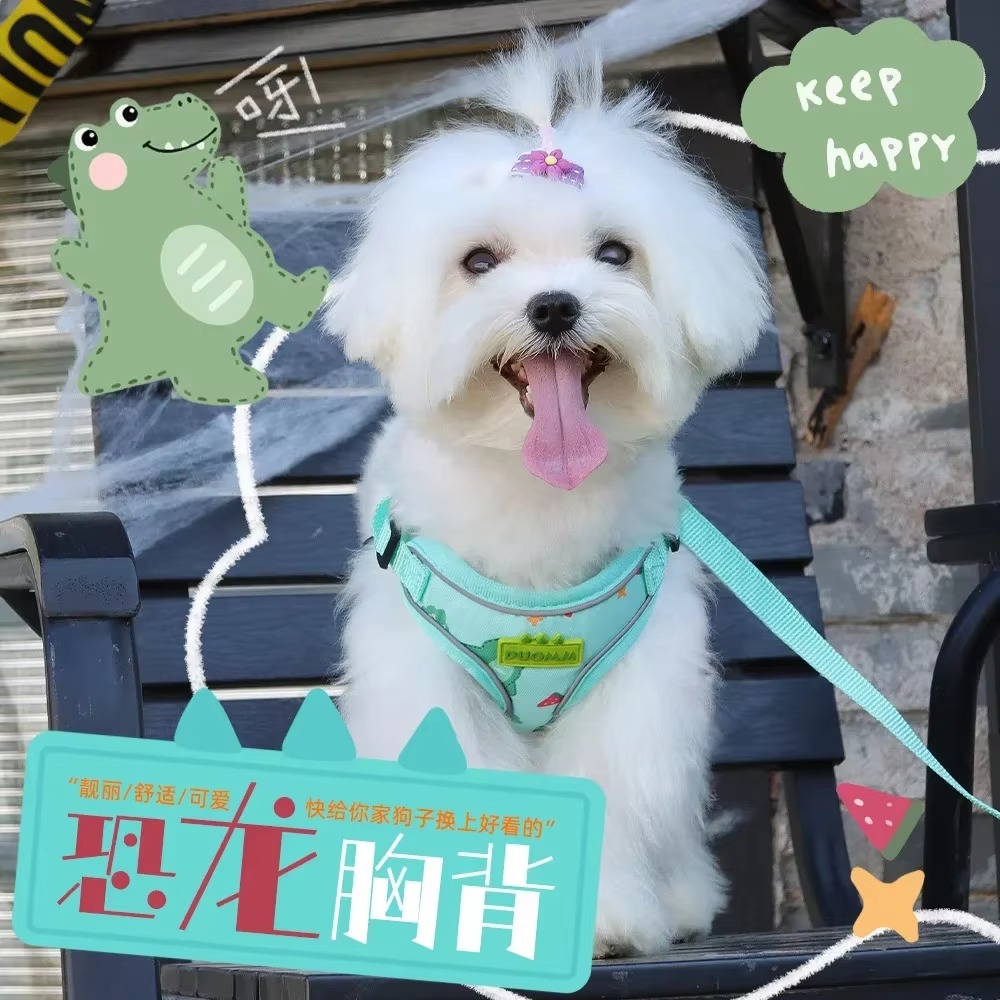 Dog Harness Leash Set Dinosaur Pattern Puppy Chest Strap for Cat Chihuahua Harness Yorkie Collar Small Mudium Dog Walking Lead