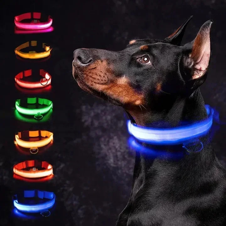 LED Glowing Dog Collar Adjustable Flashing Rechargea Luminous Collar Night Anti-Lost Dog Light HarnessFor Small Dog Pet Products 250320