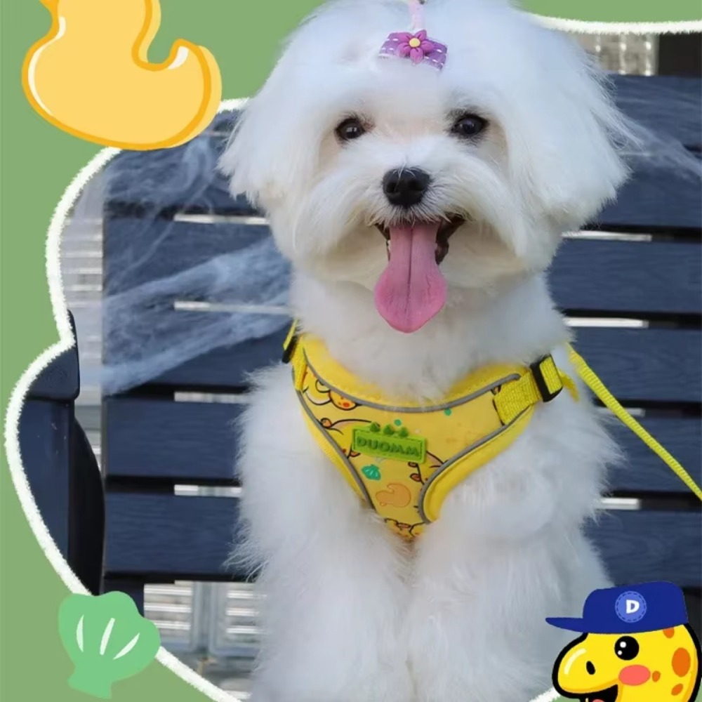 Dog Harness Leash Set Dinosaur Pattern Puppy Chest Strap for Cat Chihuahua Harness Yorkie Collar Small Mudium Dog Walking Lead