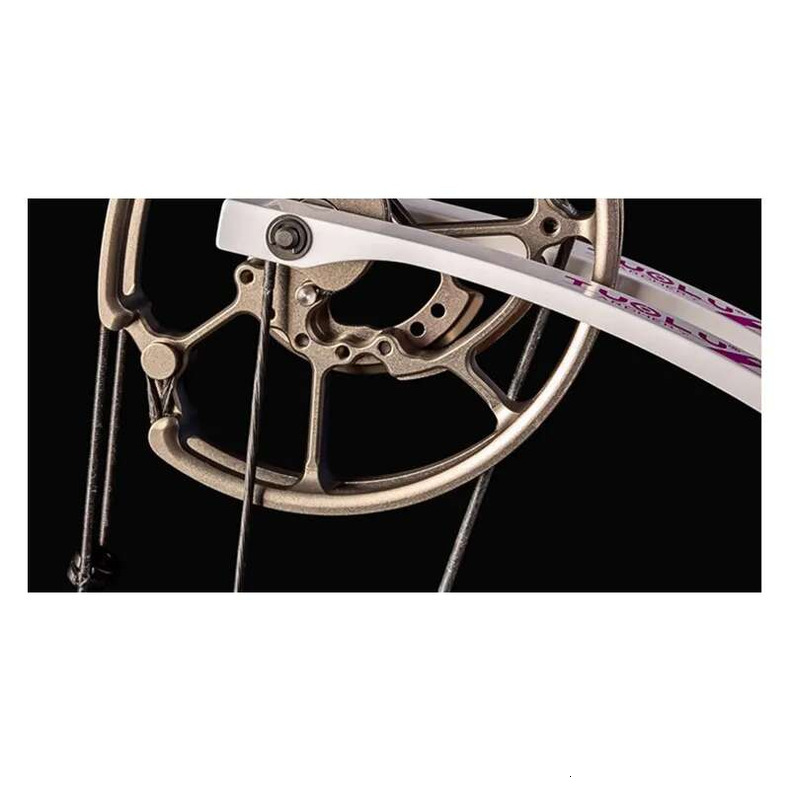 Compound Dual Purpose Archery Shooting Steel Balls High Accuracy Bow Outdoor Legal Sporting Goods New quantity