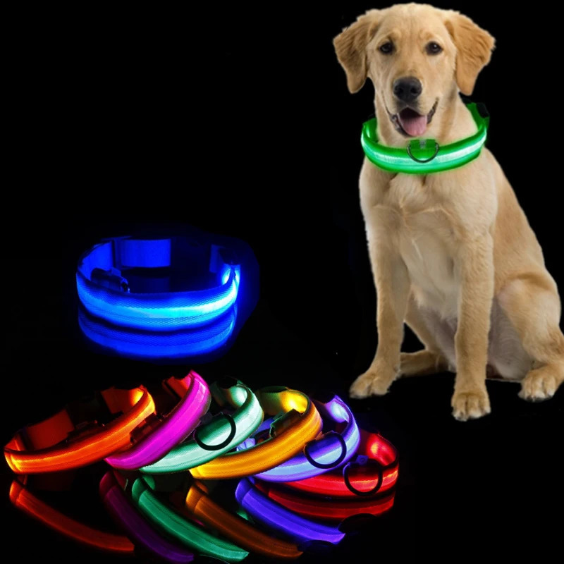Led Dog Collar Light Anti-lost Collar For Dogs Puppies Night Luminous Supplies Pet Products Accessories USB Charging/Battery 250320