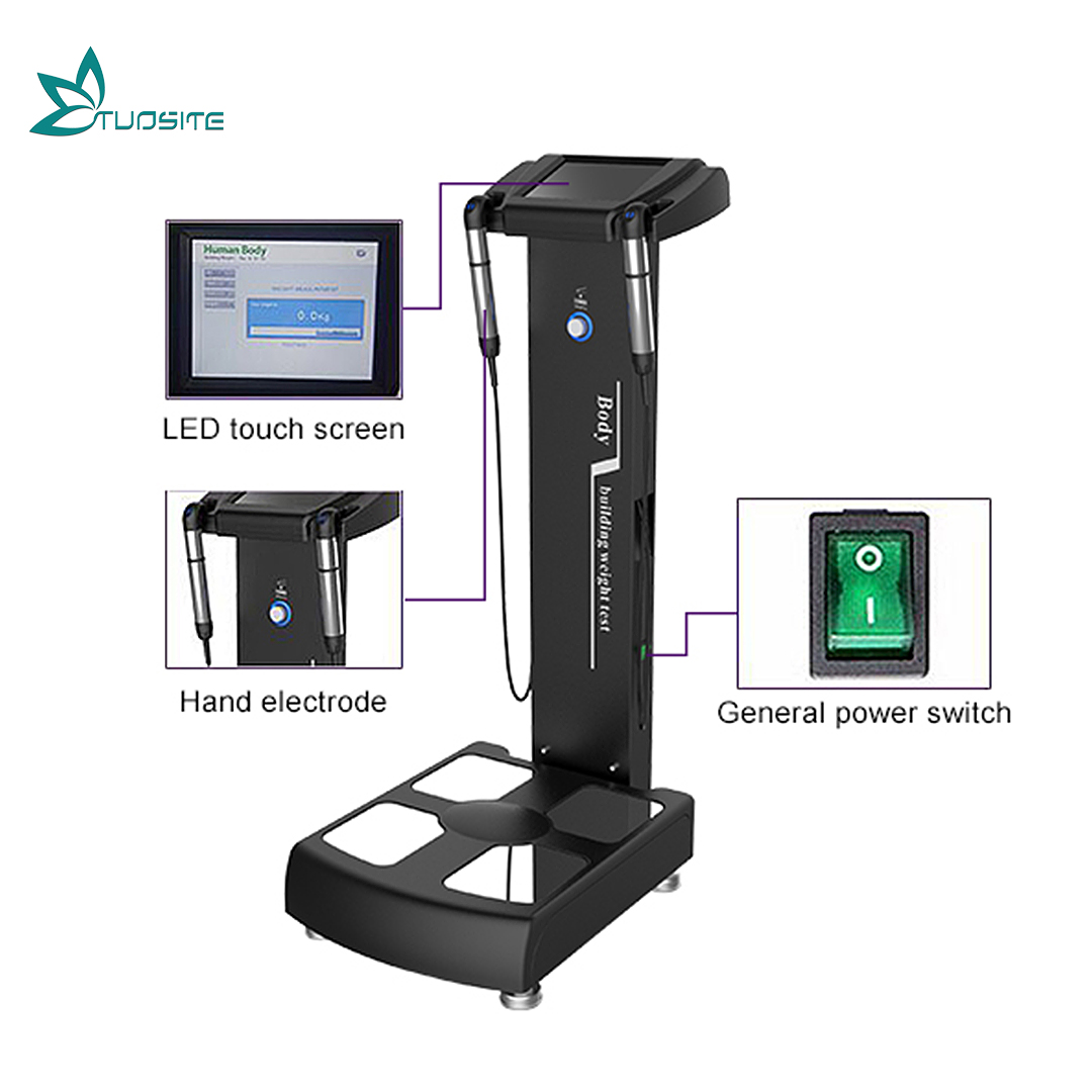 Professional Full Body Composition Scan Fat Scale and Body Health Analyzer Machine for Fitness Center