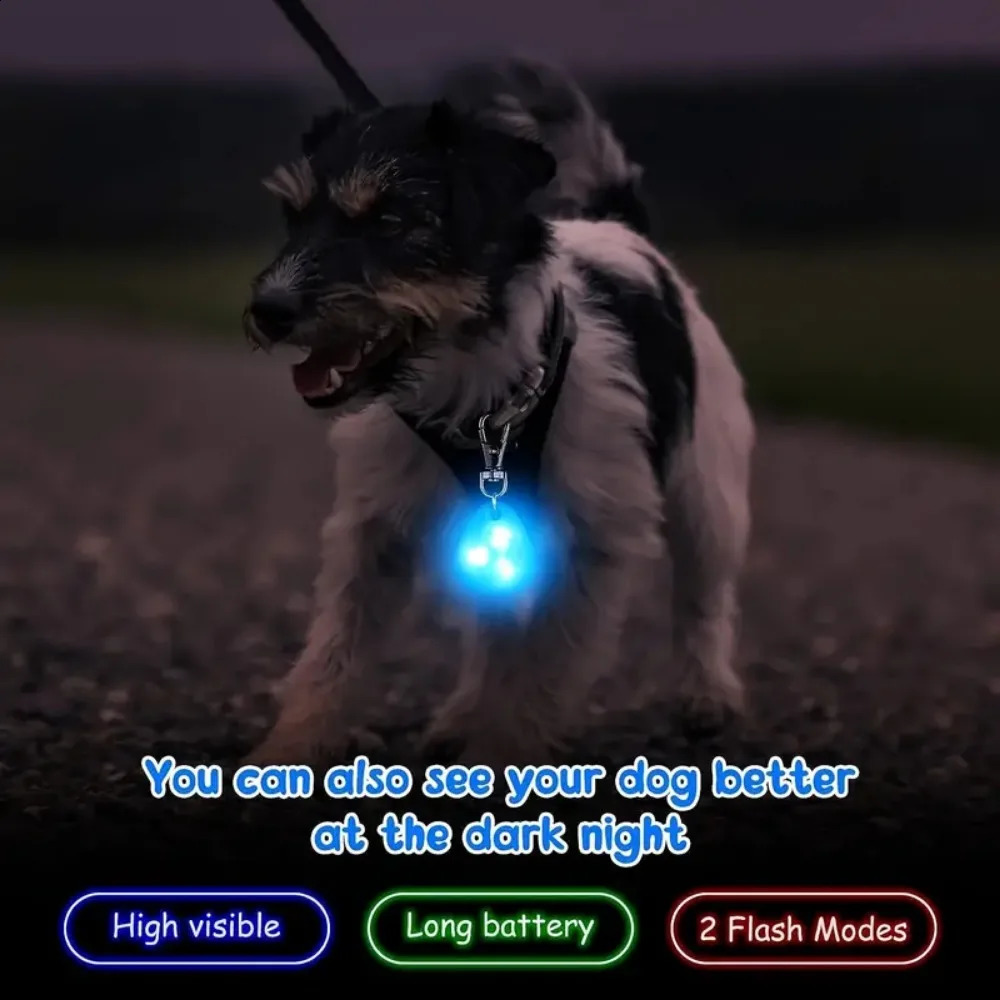 LED Pet Pendant Collar Waterproof Dog Collar Light for Outdoor Walking Safety Silicone LED Dog Collar Dog Tag Battery Included 250320