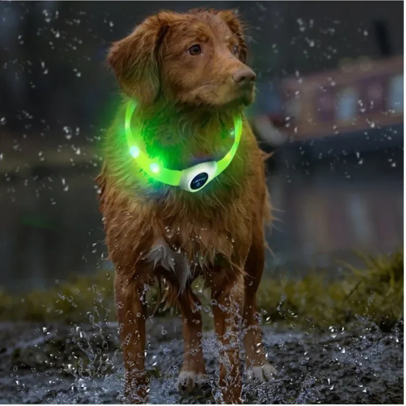 Led Luminous Dog Collar PVC Waterproof For Large Medium Small Dogs Collar Usb Light Night Safety Pet Glowing Accessories 250320