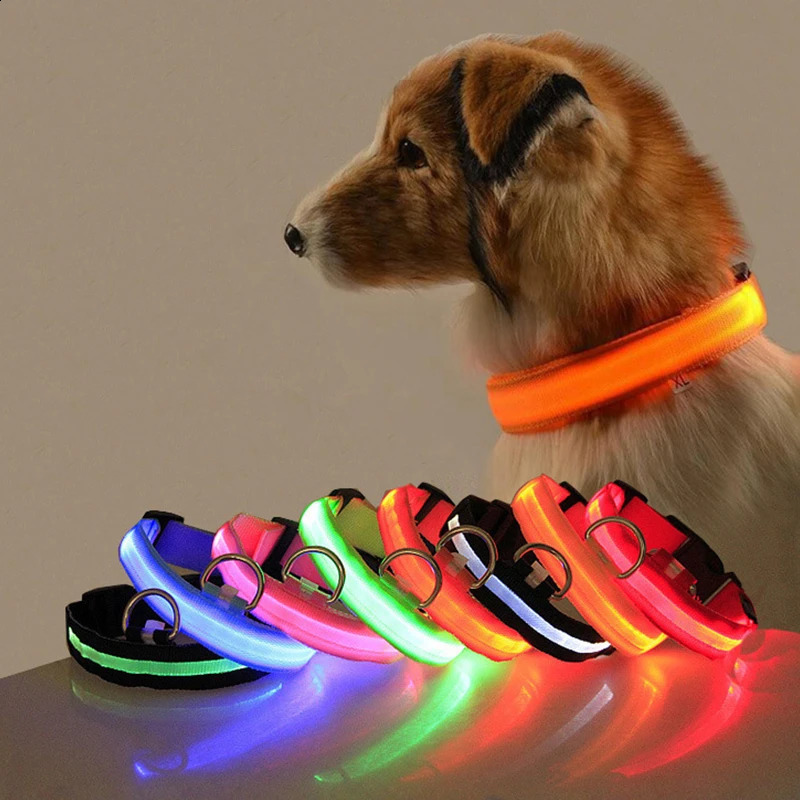 Led Dog Collar Light Anti-lost Collar For Dogs Puppies Night Luminous Supplies Pet Products Accessories USB Charging/Battery 250320
