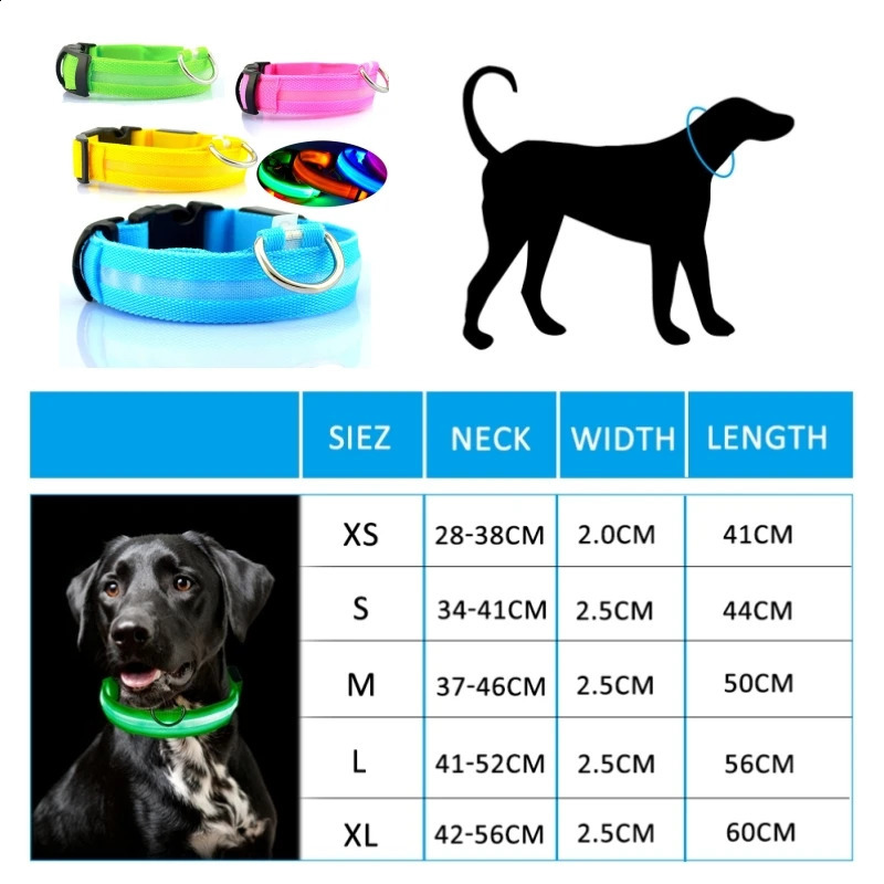 Led Dog Collar Light Anti-lost Collar For Dogs Puppies Night Luminous Supplies Pet Products Accessories USB Charging/Battery 250320
