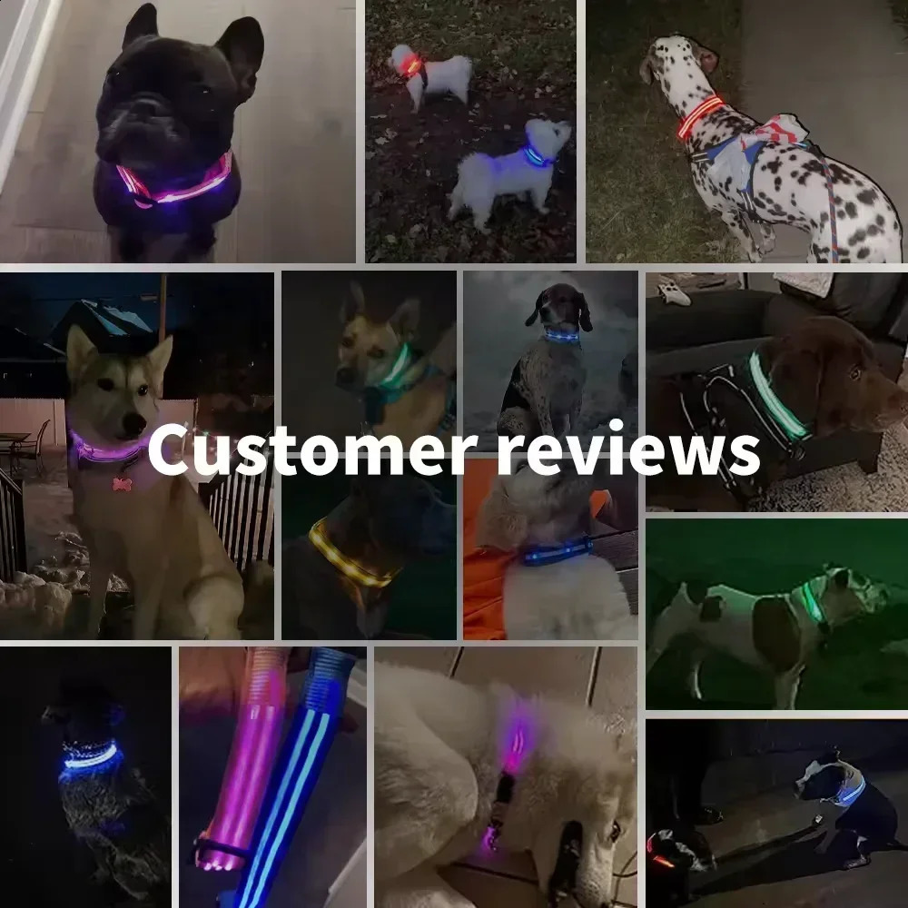 LED Glowing Dog Collar Adjustable Flashing Rechargea Luminous Collar Night Anti-Lost Dog Light HarnessFor Small Dog Pet Products 250320