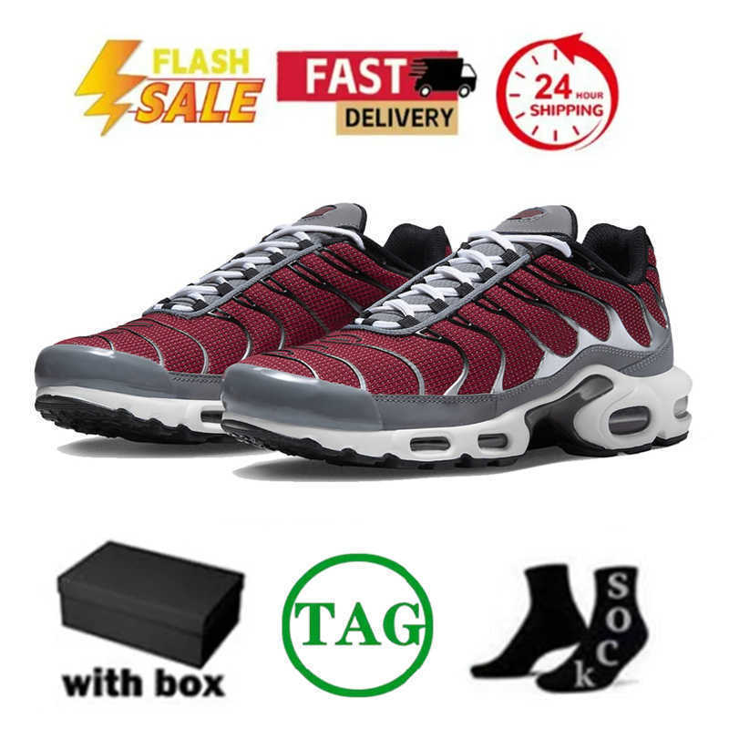 Hiking Footwear Tn Plus Running Shoes Toggle Utility 25th Anniversary Triple White Black Grey REFLECTIVE Fire Ice Stone Onyx Men Women Trainers Sports