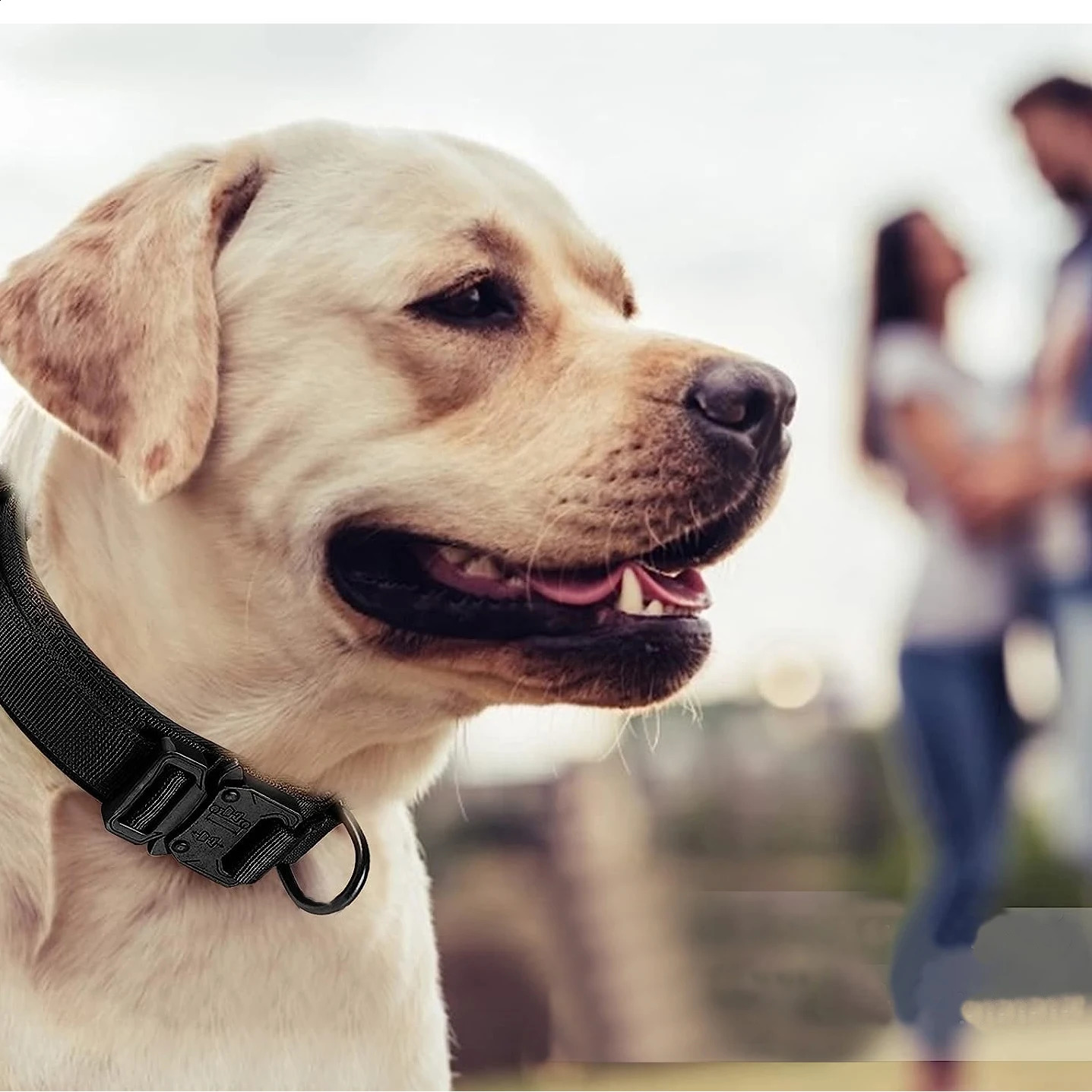 Tactical Dog Collar Adjustable Military Training Nylon Dog Collar with Control Handle and Heavy Metal Buckle for Medium and Lar 250320