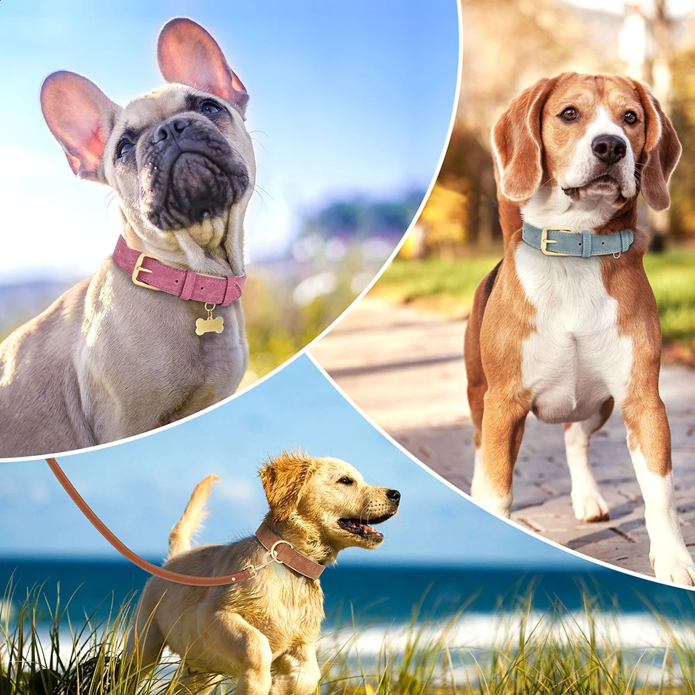 Durable Dog Collar Leather Dogs Collars Soft Padded Pet Pitbull Necklace Adjustable For Small Medium Large Dogs Pug Pet Products 250320