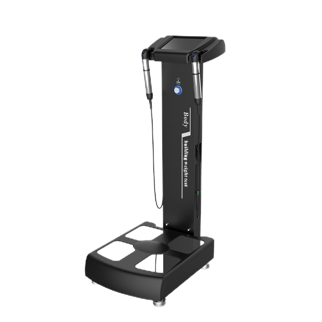 Professional Full Body Composition Scan Fat Scale and Body Health Analyzer Machine for Fitness Center